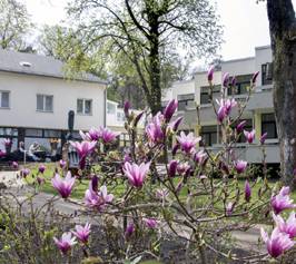 Bild zu Seehotel Grunewald Berlin